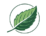logo grüner frank ohne text aktuell 2026